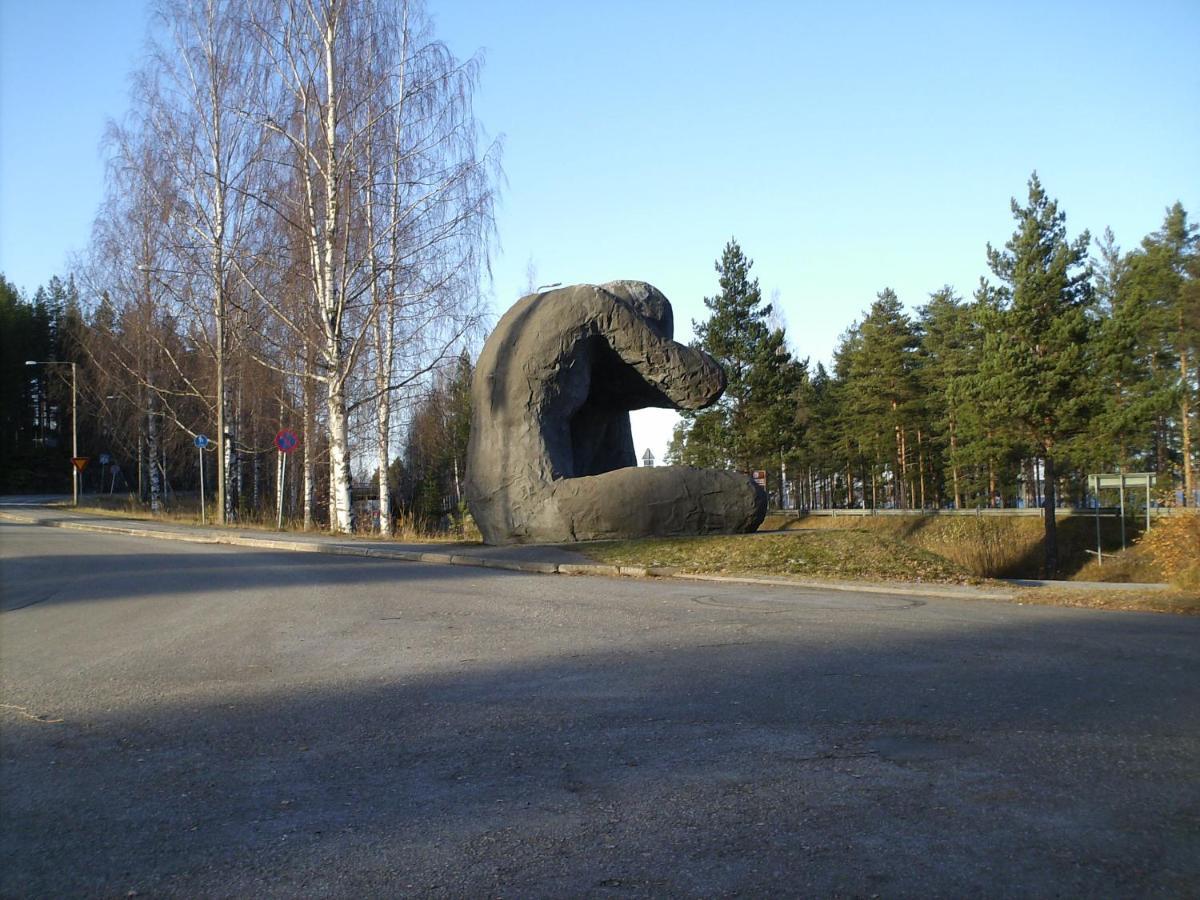 Pankkotupa 8B Villa Punkaharju Buitenkant foto
